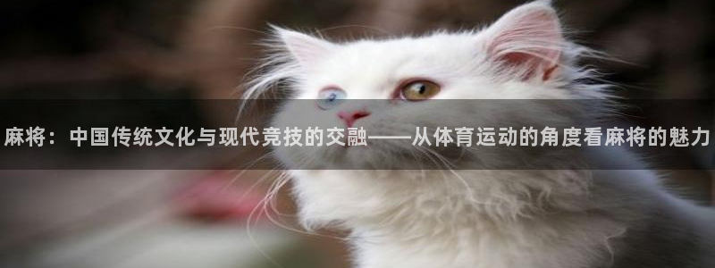 98体育app官网下载：麻将：中国传统文化与现代竞技的交融——从体育运动的角度看麻将的魅力