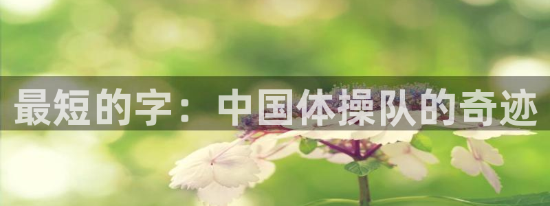 拳皇98体育队：最短的字：中国体操队的奇迹
