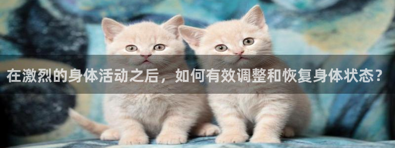98体育直播在线观看：在激烈的身体活动之后，如何有效调整和恢复身体状态？