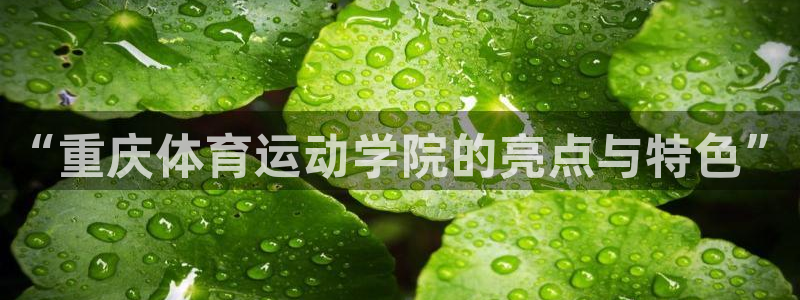 98体育免费直播：“重庆体育运动学院的亮点与特色”